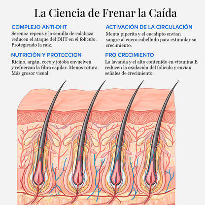 Aceite AntiCaída Capirus - La solución más fácil para evitar perder pelo