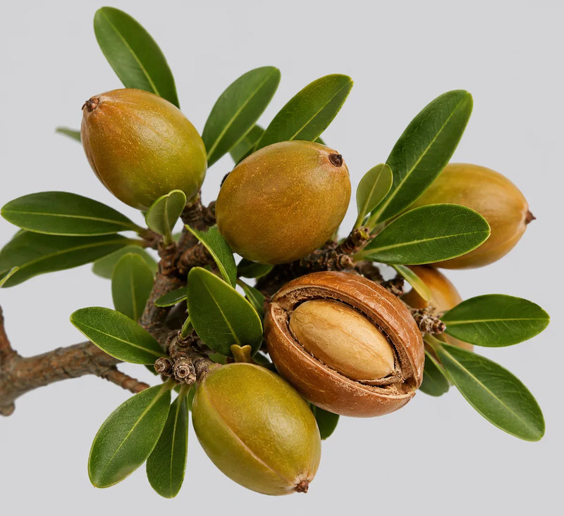 Aceite de argán de la fórmula Capirus